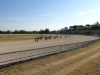 saltarello-ippodromo-mori-17-08-2013-049